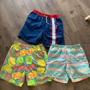 Chubbies swimsuits men